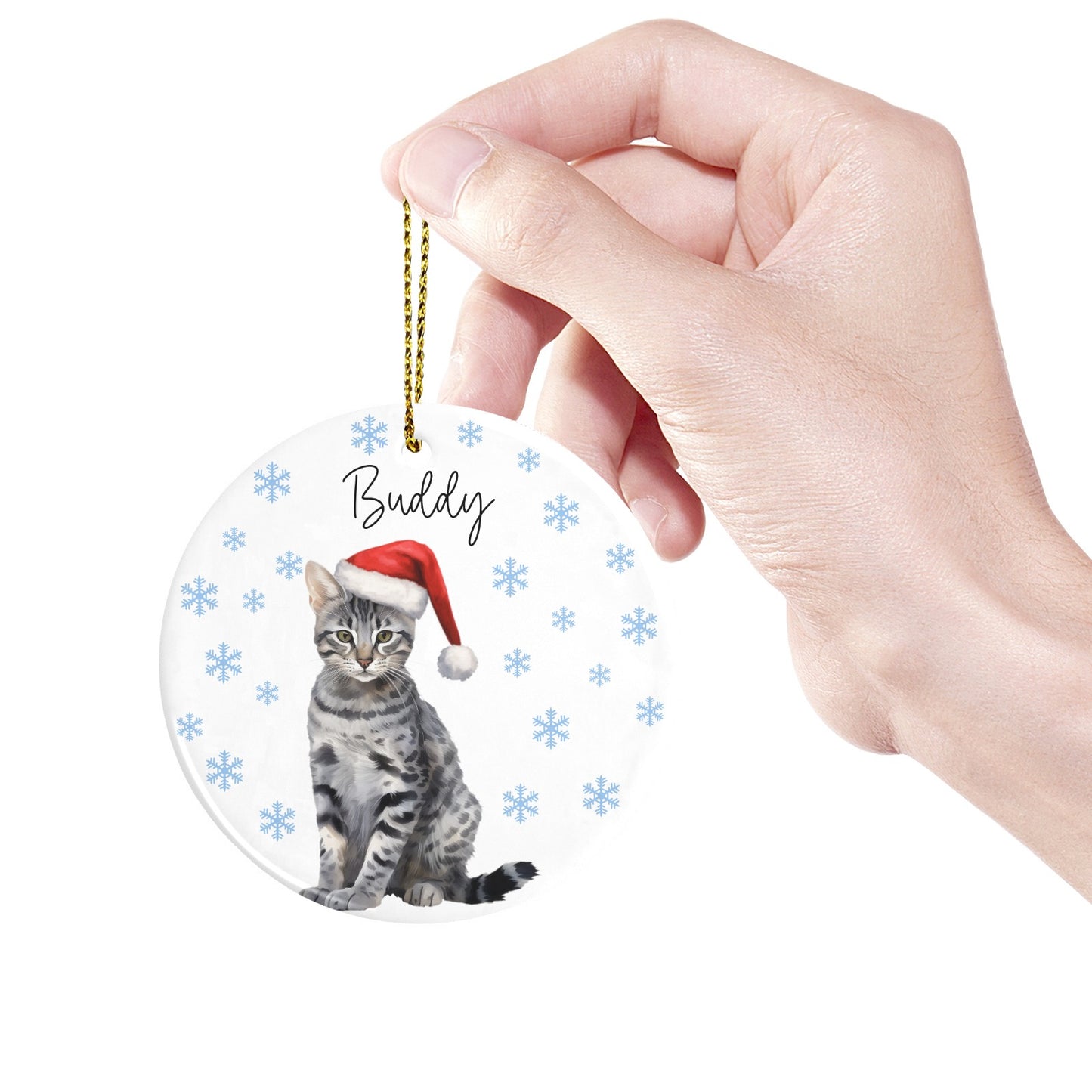 Cat Christmas Ornaments Custom Name Santa Gift
