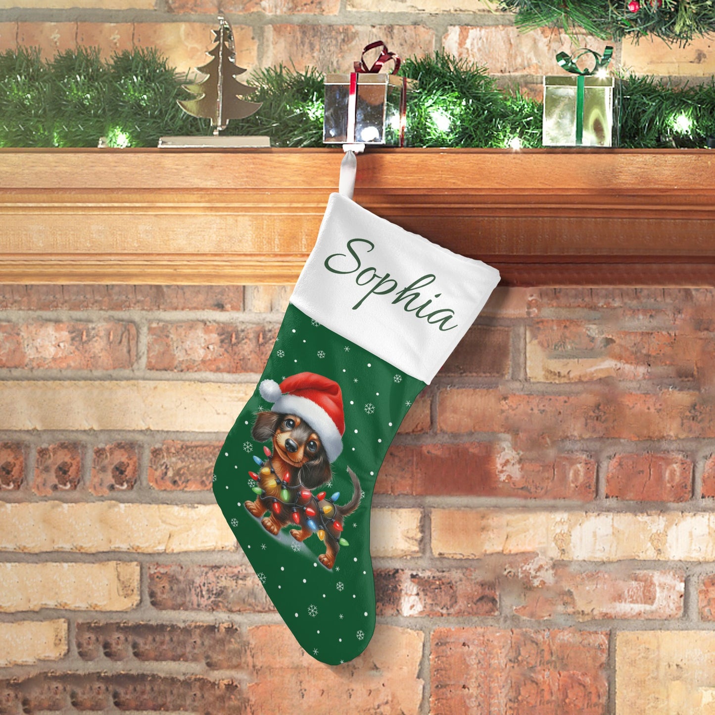 Sausage dog Christmas Stocking Custom Name Santa Socks Gift