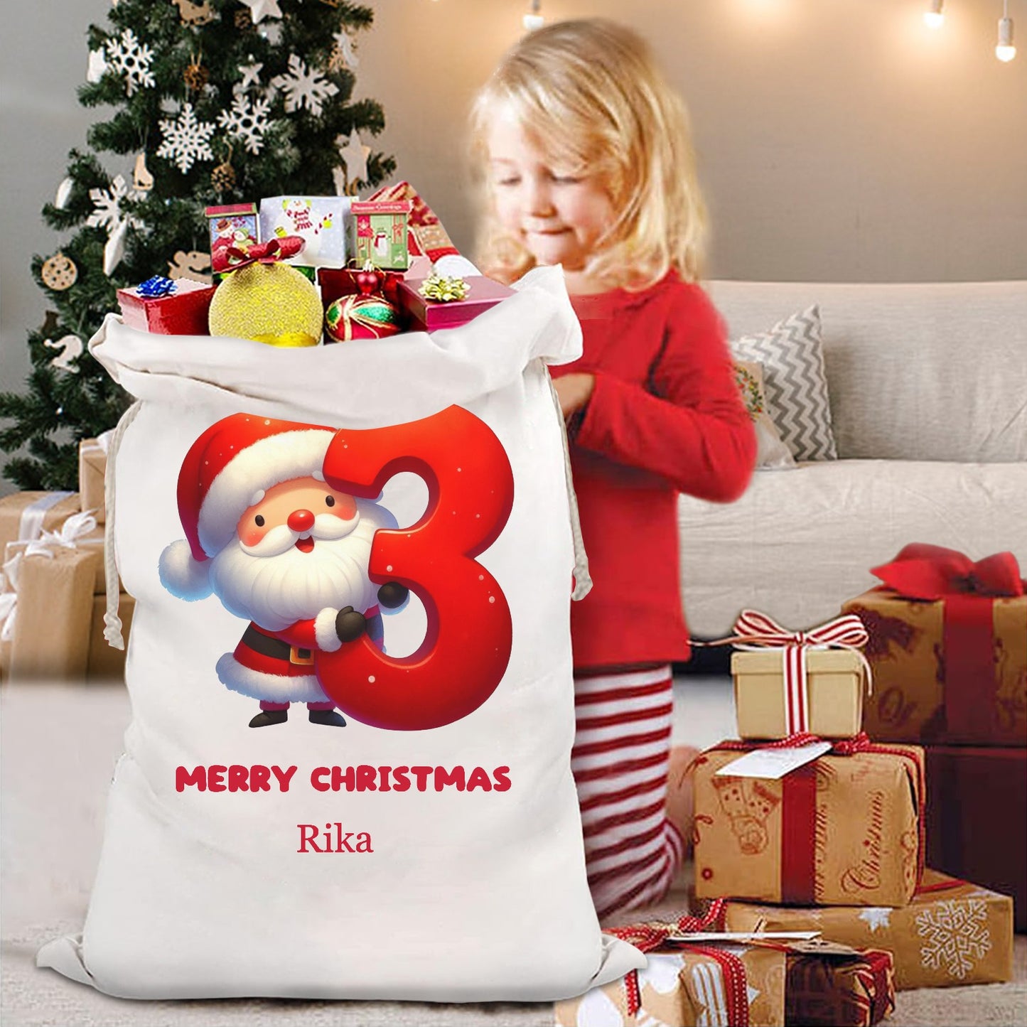 3 Christmas Gift Bag 2024 Christmas Best Gift for Children