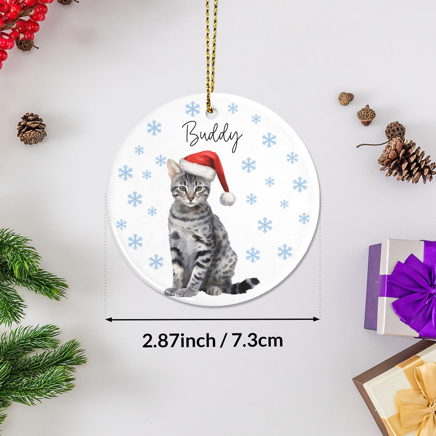 Cat Christmas Ornaments Custom Name Santa Gift